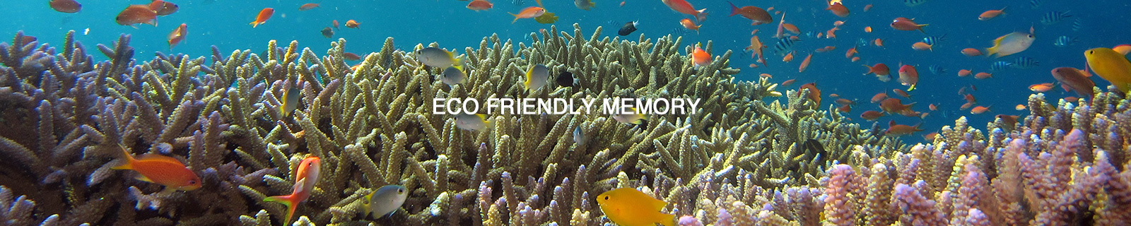 製品への取り組み