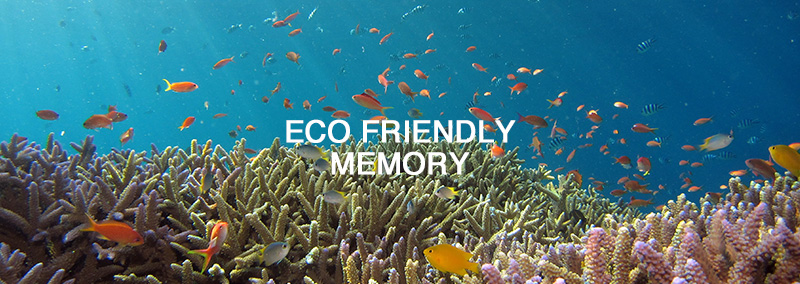 製品への取り組み